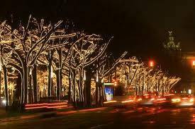linden.jpeg